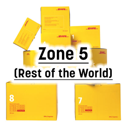 DHL Express Easy Singapore to Overseas Delivery Service, Zone 5 (Rest of the World)